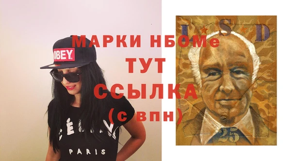 амф Горняк