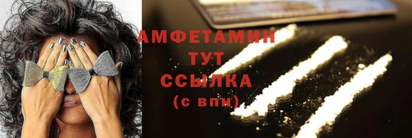 амф Горняк