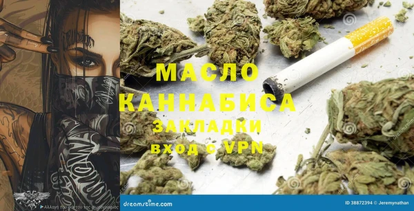 амф Горняк