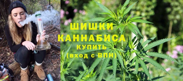 амф Горняк