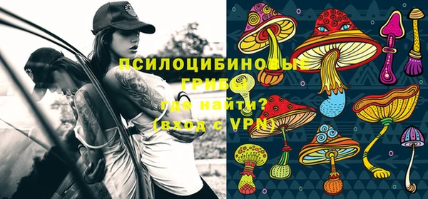 амф Горнозаводск