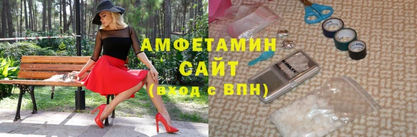 амф Горняк