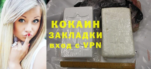 амф Горняк