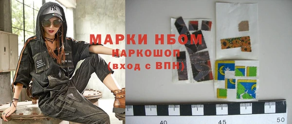 амф Горняк