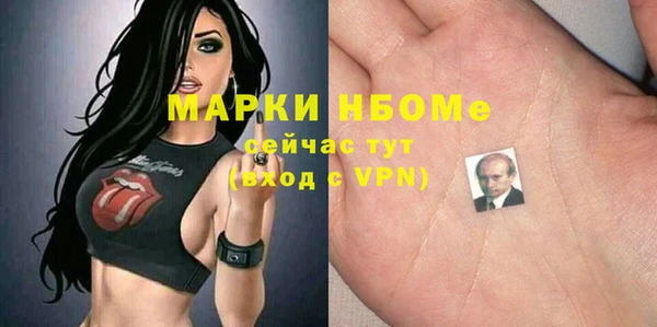 амф Горняк
