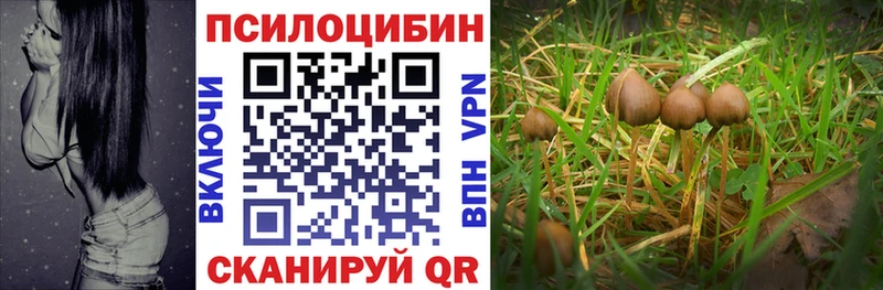 Псилоцибиновые грибы Psilocybe  что такое наркотик  Железногорск 