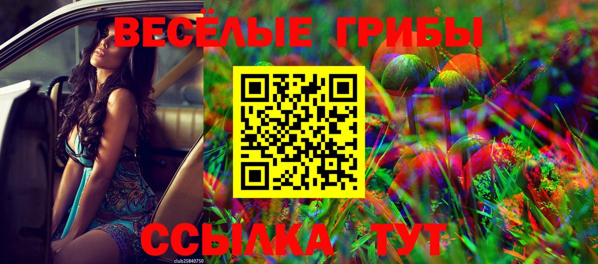 Псилоцибиновые грибы прущие грибы Железногорск