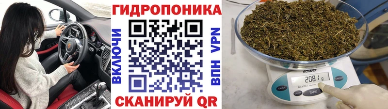 наркошоп  Железногорск  Марихуана сатива 